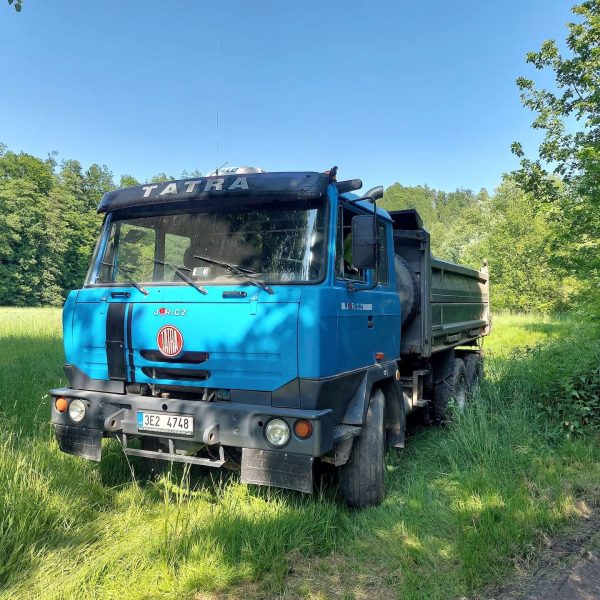 T 815
